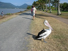 202 Cairns Esplanade
